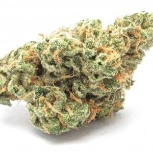 Weed For Sale In Wyoming