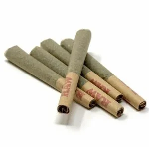 Buy Pre-Rolled Joints Online in Wyoming