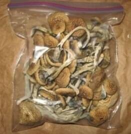 Weed For Sale In Wyoming